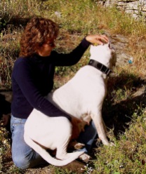 BodyTalk Access can be helpful for animals (anyplace to any body 130 lb dog or not)