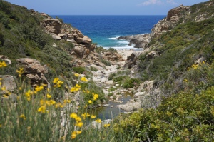 Remote raw natural Ikaria retreats